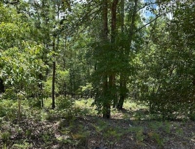 /international/us/tbd-watermelon-lane-barnwell-sc-110100214542/?lang=en
