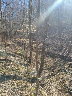 /international/us/coppersmith-cove-lot-r19-eddyville-ky-110106723987/