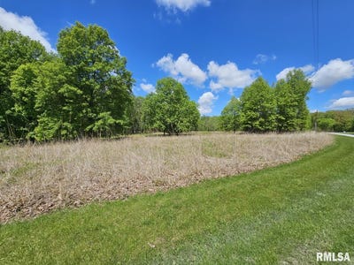 /international/us/lot-41-n-deer-park-drive-dix-il-110099233896/