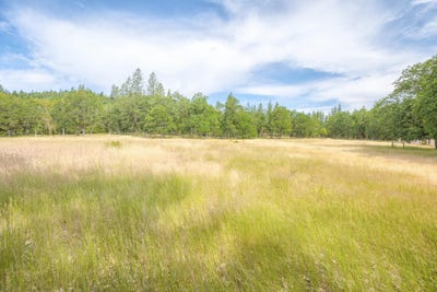 /international/us/livingston-way-grants-pass-or-110100320818/