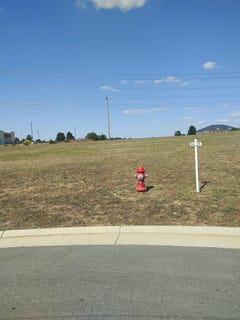 /international/us/travelers-terr-lot-34-fishersville-va-110102192890/