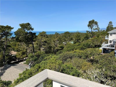 /international/us/1645-dreydon-avenue-cambria-ca-110098886501/