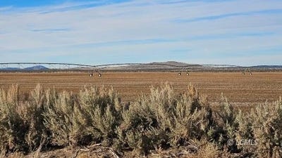 /international/us/1200-tl-fossil-lake-rd-christmas-valley-or-110108492140/