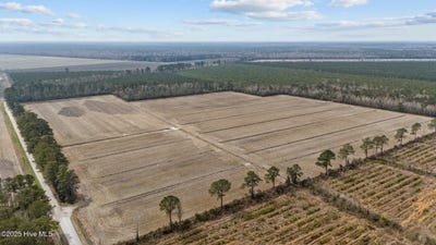 /international/us/0-neals-creek-road-bayboro-nc-110097600246/