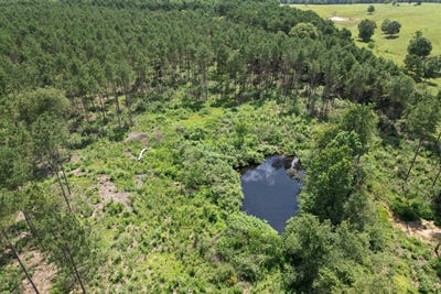 /international/us/county-road-3706-tenaha-tx-110100655305/