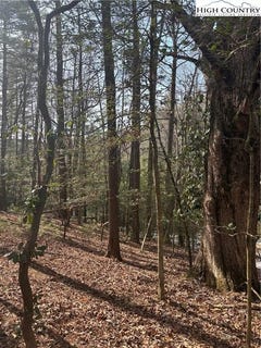 /international/us/hollyknoll-rd-lot-49-50-glade-valley-nc-110105755449/
