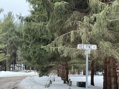 /international/us/red-pine-lane-lot-1-croswell-mi-110082933291/