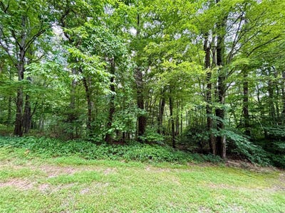 /international/us/0-sunlight-ridge-court-hendersonville-nc-110100704881/
