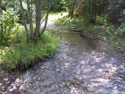 /international/us/35xx-northport-flat-creek-rd-colville-wa-110107824170/