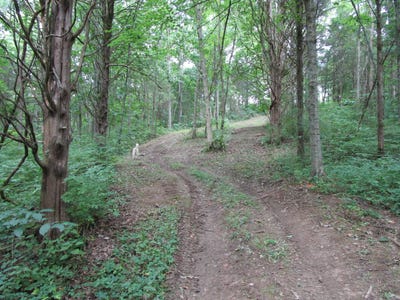 /international/us/11-5-acres-osborne-road-dry-ridge-ky-110100797799/