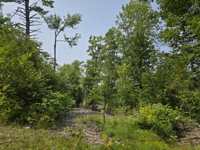 /international/us/bear-brook-subdivision-lot-7-sebec-me-110104586718/