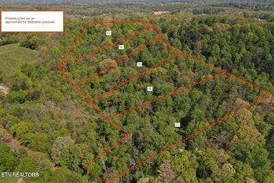 /international/us/lot-15-elm-lane-sweetwater-tn-110120124173/