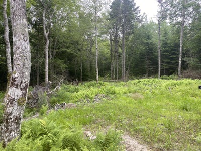 /international/us/53-woodland-drive-trenton-me-110100898321/?lang=zh-tw