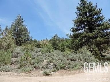 /international/us/16300-jungfrau-way-tehachapi-ca-110110274459/