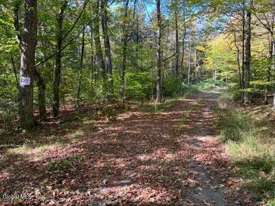 /international/us/123-wildwood-lane-middleburgh-ny-110102651486/