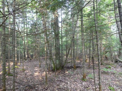 /international/us/000-e-cemetery-grand-marais-mi-110101233526/?lang=zh-tw