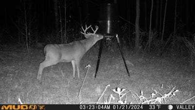 /international/us/35-ac-county-rd-67-clopton-al-110100593334/