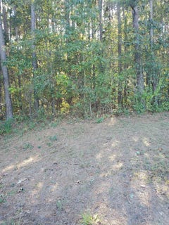 /international/us/country-wood-rd-quitman-ar-110103629167/