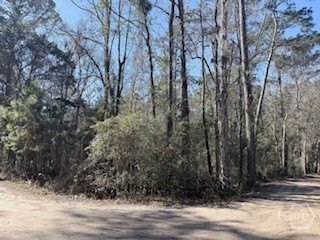 /international/us/138-140-dogwood-lane-midway-ga-110110237987/