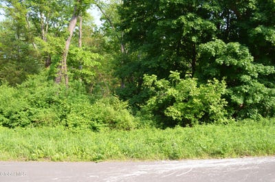 /international/us/l35-river-road-selkirk-ny-110106469175/