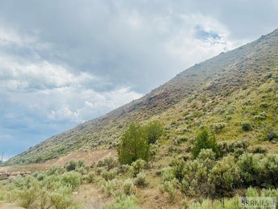 /international/us/tbd-diamond-creek-road-salmon-id-110100118163/