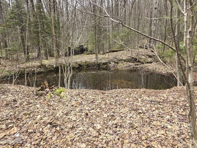 /international/us/magee-road-stamford-vt-110107719160/
