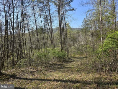 /international/us/s-ft-valley-rd-lot-1-madison-va-110107171737/