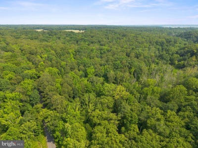 /international/us/lot-2-salem-church-road-king-george-va-110100335039/?lang=en