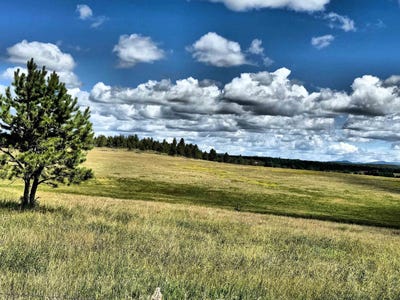 /international/us/tbd-w-argyle-road-custer-sd-110105956248/