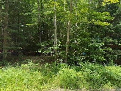 /international/us/261-uncas-road-inlet-ny-110101193602/?lang=en