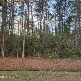 /international/us/tract-8-fennell-town-road-rocky-point-nc-110106680851/
