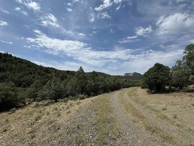 /international/us/2241-s-rockcliff-circle-pagosa-springs-co-110101407405/?lang=zh-cn