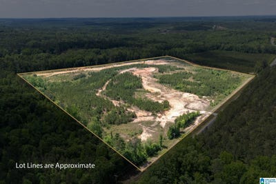 /international/us/county-road-16-lot-0-clanton-al-110107821225/