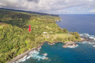 /international/us/36-1070-laupahoehoe-point-rd-laupahoehoe-hi-110105709141/