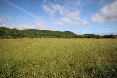 /international/us/110-acres-bivens-rd-tellico-plains-tn-110100076944/