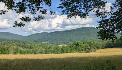 /international/us/659-west-highland-rd-parcel-1-road-stamford-ny-110101092107/?lang=zh-tw
