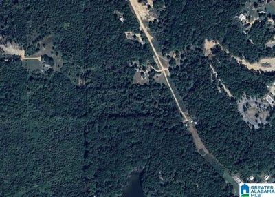 /international/us/585-county-road-leesburg-al-110097491556/?lang=zh-tw