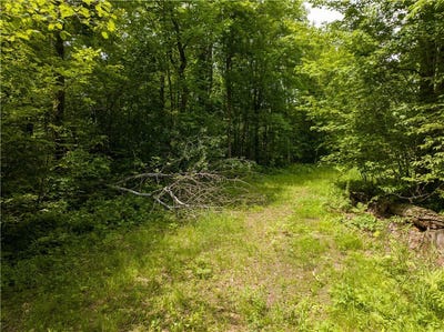 /international/us/tbd-highway-8-turtle-lake-wi-110096871326/?lang=zh-tw