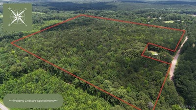 /international/us/1425-booger-hollow-road-dadeville-al-110101201156/?lang=es