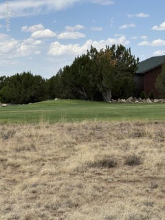 /international/us/8384-lake-view-drive-show-low-az-110101305913/?lang=zh-cn