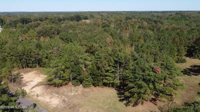 /international/us/jeffries-road-lot-8-potts-camp-ms-110120132917/