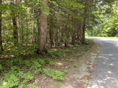 /international/us/090-belanger-road-jay-me-110100865729/