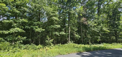 /international/us/lot-23-23-perry-pond-road-narrowsburg-ny-ny-110101245768/