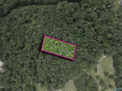/international/us/1-ac-county-road-427-fort-payne-al-110100150124/?lang=zh-tw