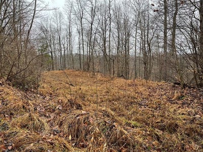 /international/us/rt-64-braden-hill-rd-alma-wv-110092434333/