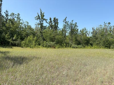 /international/us/177-acres-sawyer-road-gaylord-mi-110101458871/?lang=pt