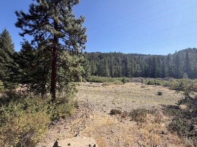 /international/us/xxxx-mcadams-cr-mcadams-creek-rd-fort-jones-ca-110110321630/