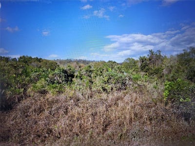 /international/us/446-riverside-dr-bastrop-tx-110120134973/