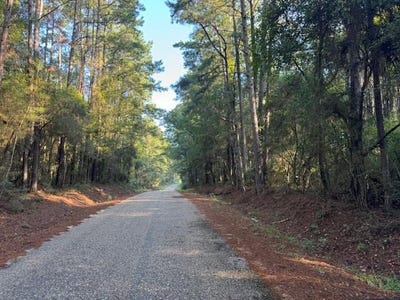 /international/us/cemetery-road-tylertown-ms-110104970430/