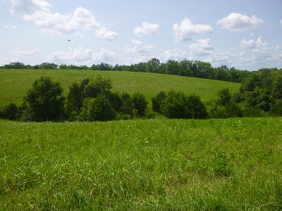 /international/us/40-559-ac-colston-lane-frankfort-ky-110098778895/